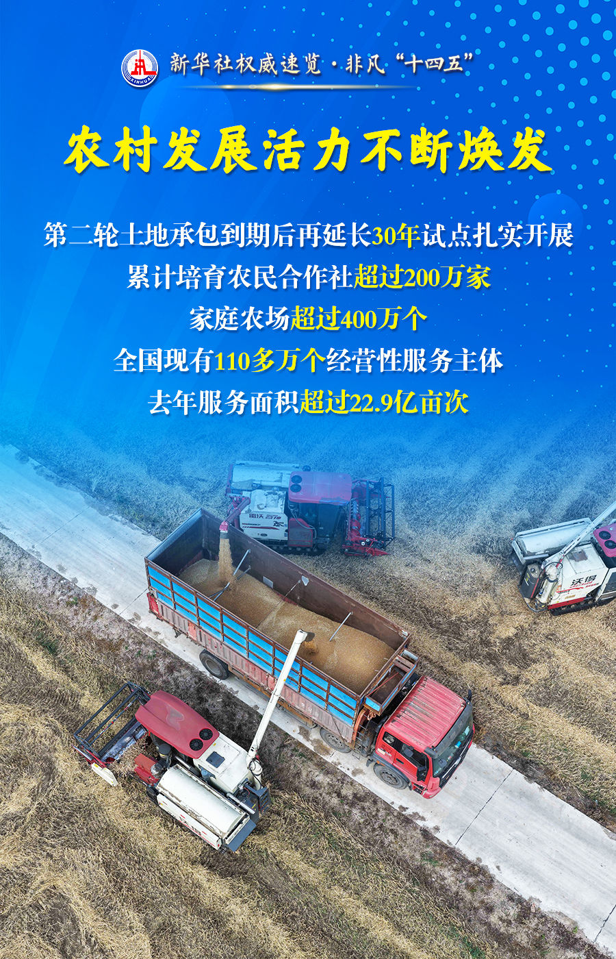 非凡“十四五”丨“农业强国”建设，取得这些新进展！