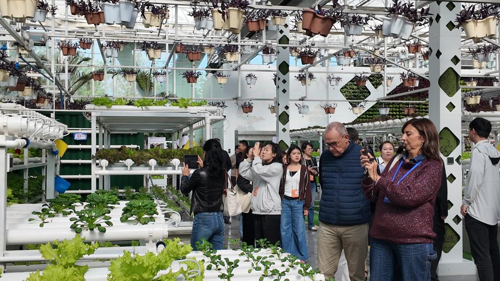 多国议员探访新疆 点赞发展活力