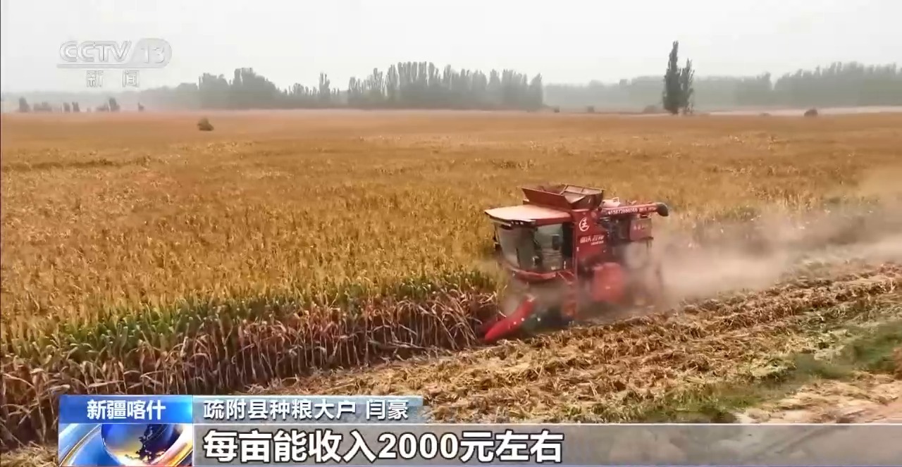 秋日好“丰”景 科技赋能+政策扶持让农户增产增效
