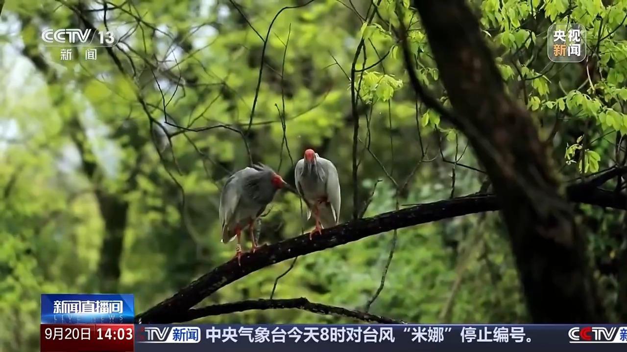 “过境游”变“深度游” 为何我国入境游超预期增长？
