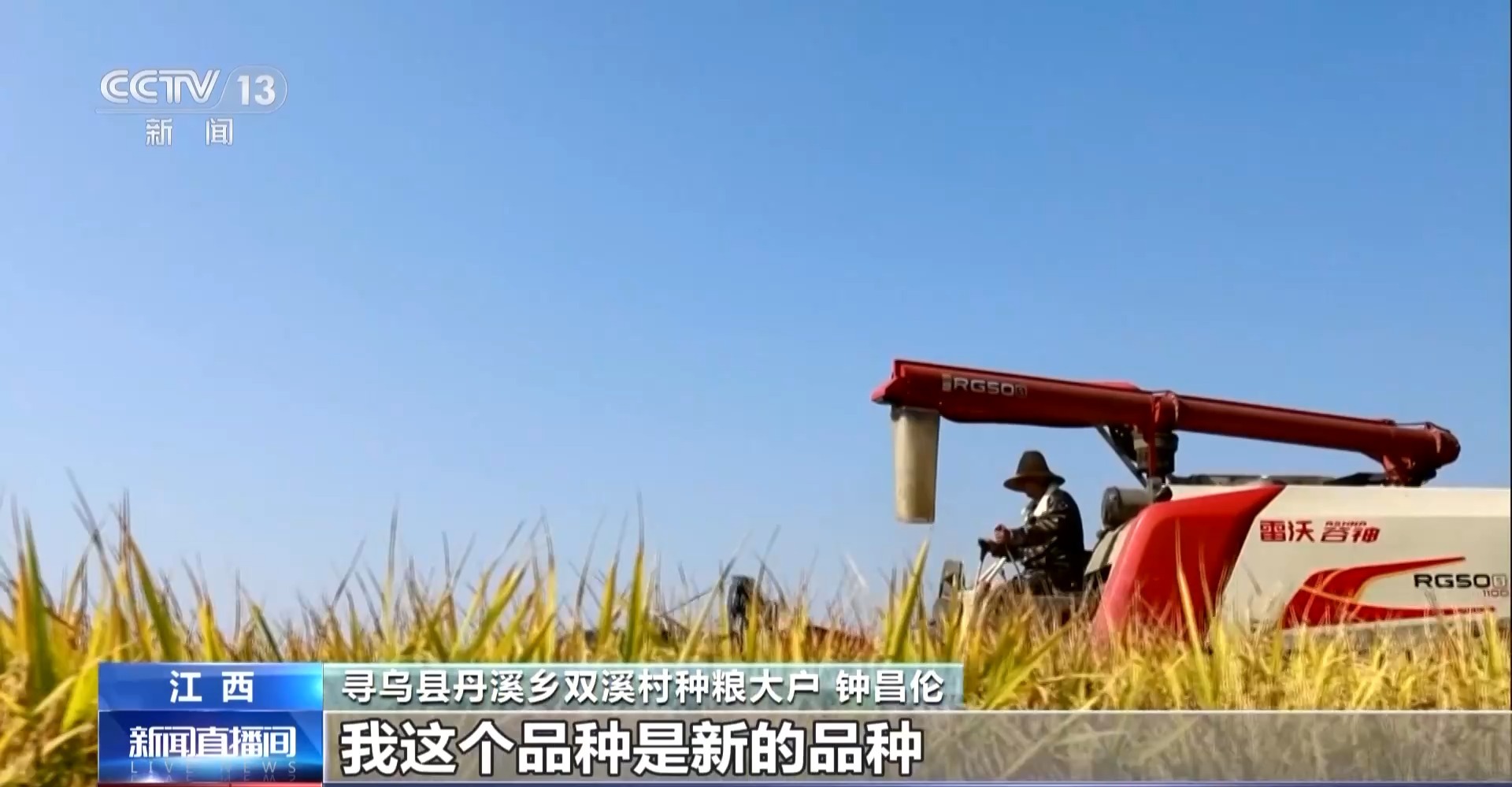 万亩凤堰古梯田迎丰收 秋日丰收美景已上线！
