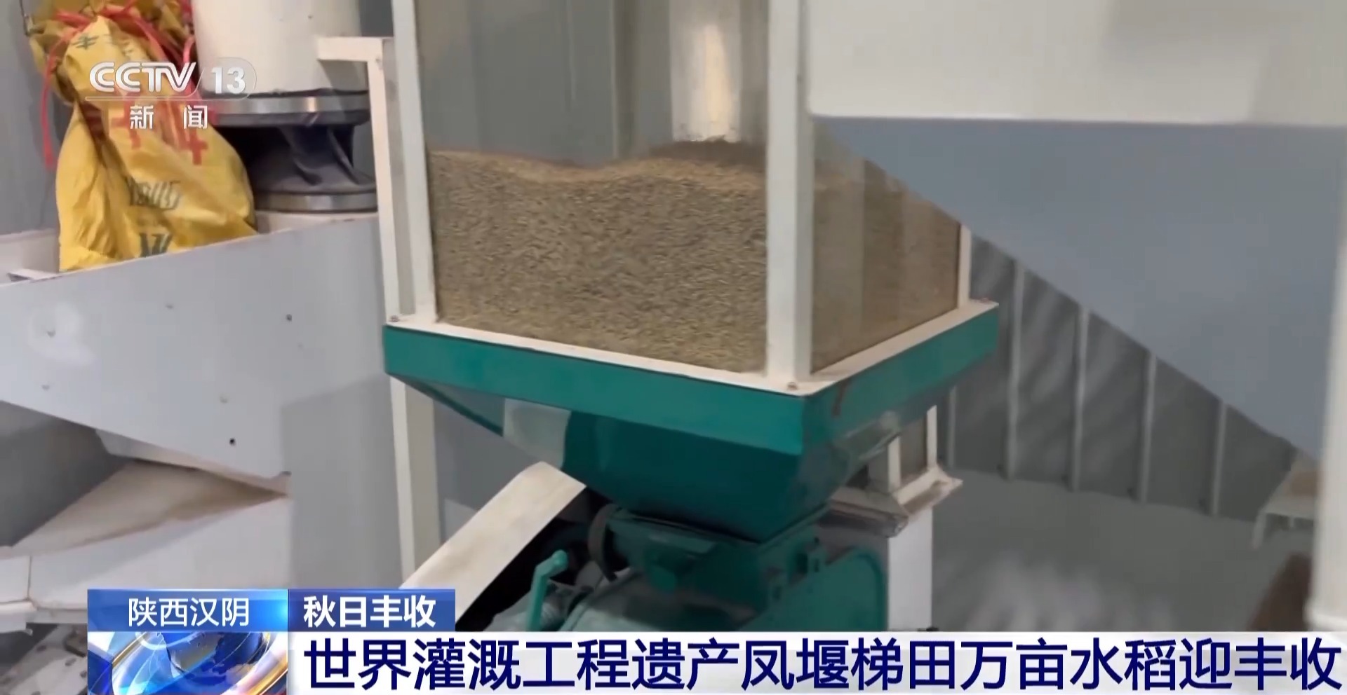 万亩凤堰古梯田迎丰收 秋日丰收美景已上线！