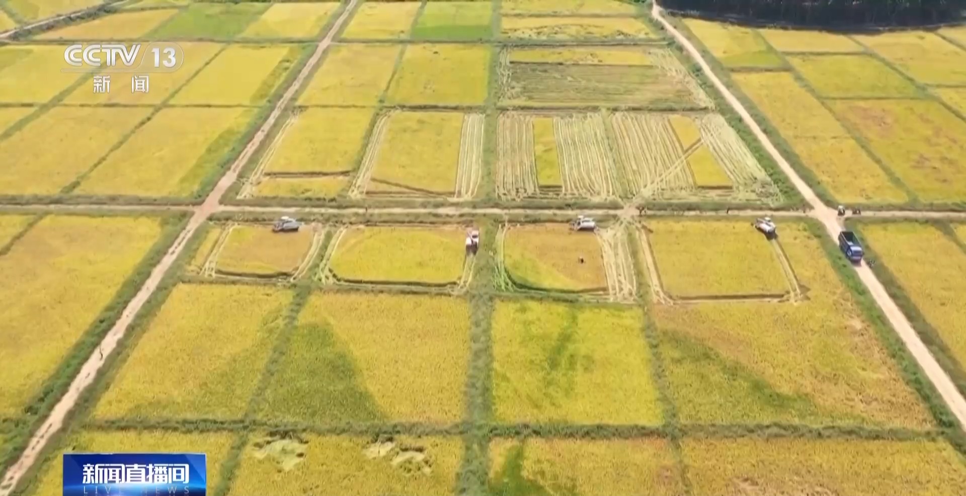 万亩凤堰古梯田迎丰收 秋日丰收美景已上线！