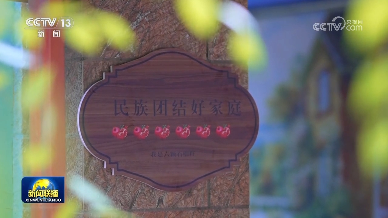 【新思想引领新征程】像石榴籽一样紧紧抱在一起