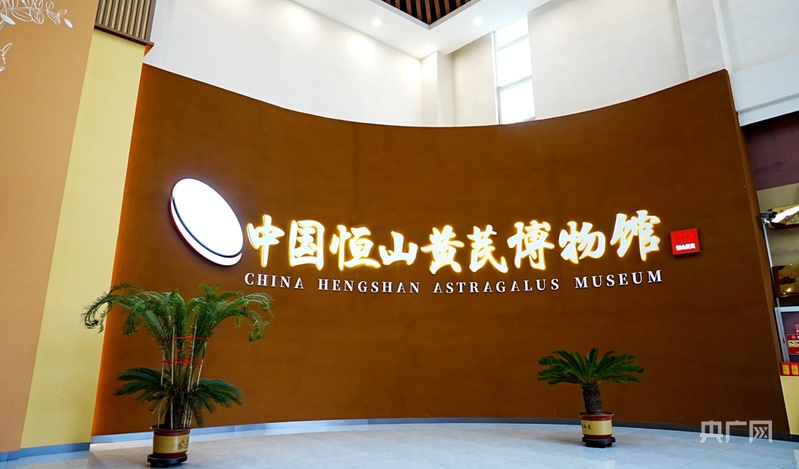 光耀太行·红土巨变 | 浑源：北岳灵秀厚植“千年芪乡”