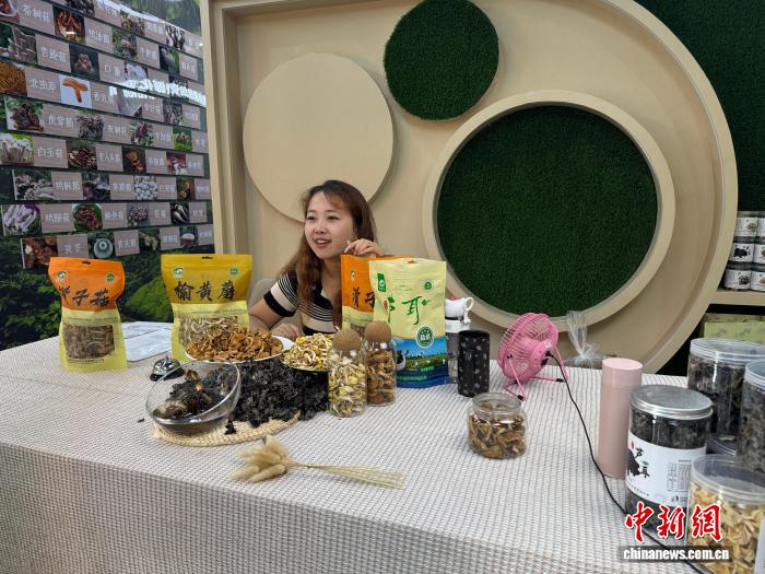 河套平原荒滩“披绿生金” 塞北乡村庭院“花果富民”