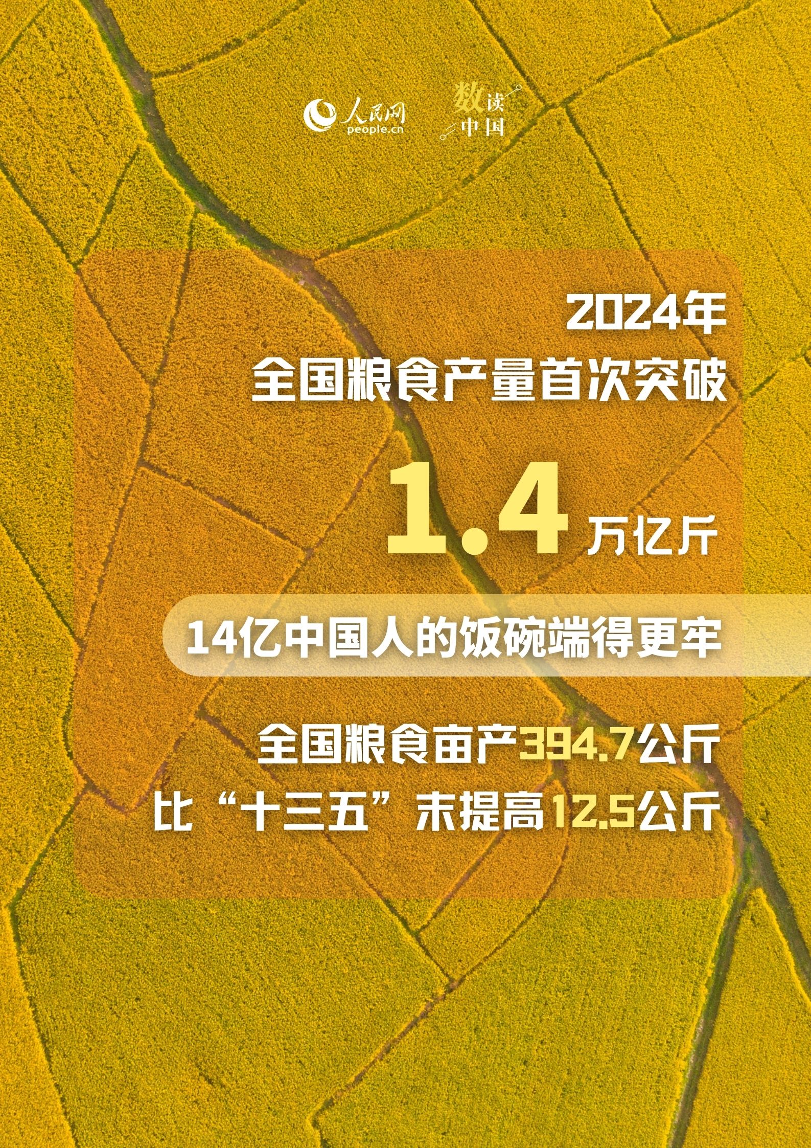 数读中国｜6个维度透视丰收节里“三农”新变化