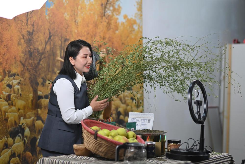 潮涌新疆70年 小村新变：达西村里的幸福日子