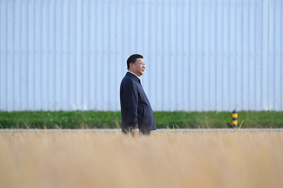 学习进行时丨习近平总书记心系农民丰收的故事