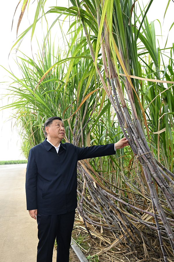 学习进行时丨习近平总书记心系农民丰收的故事
