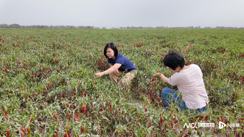 粤暖天山写新篇：广东在教育等多领域支援建设美丽新疆的努力