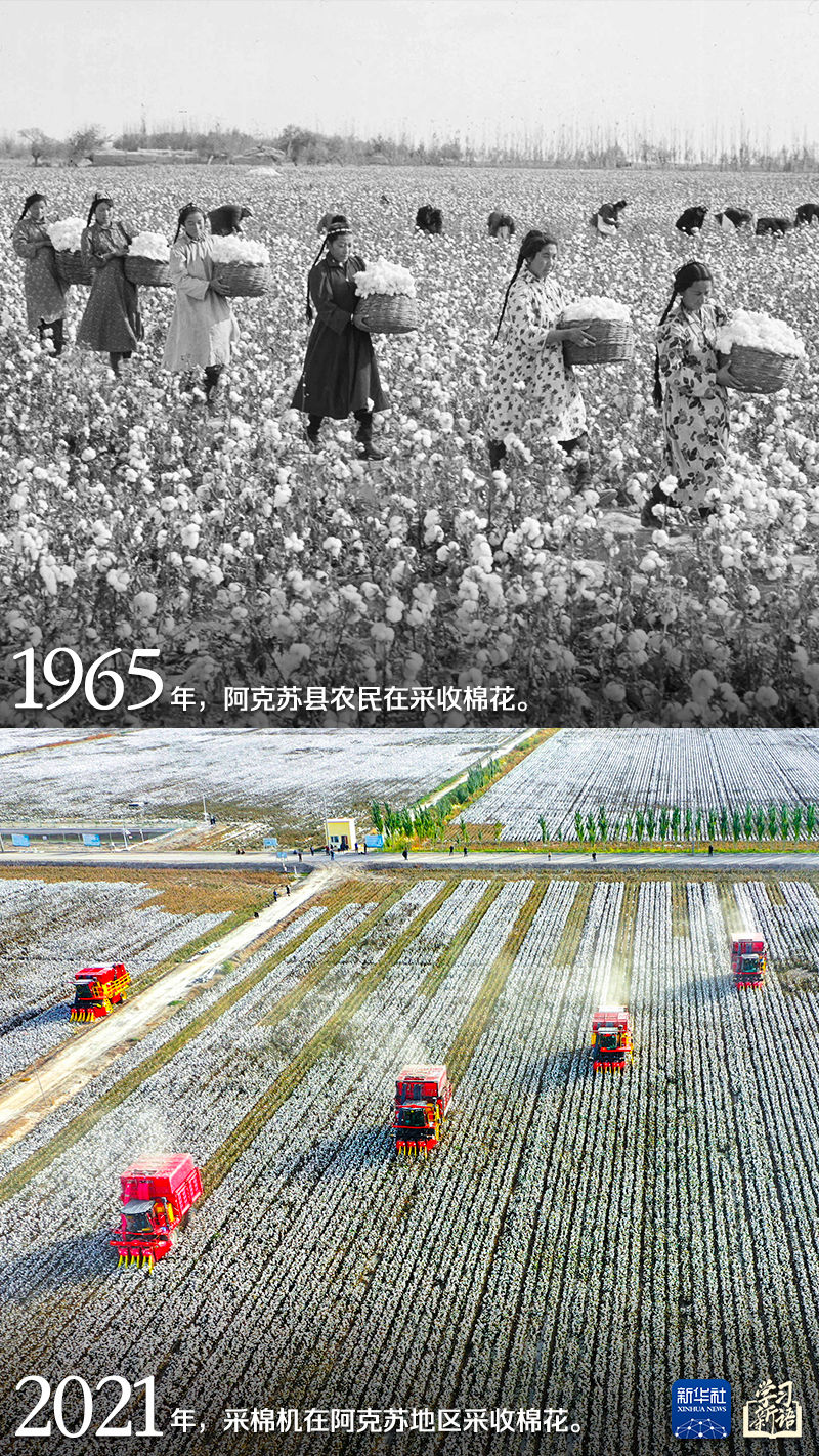 学习新语丨跟着总书记感受新疆70年的沧桑巨变