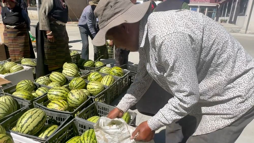 新华视点｜金秋丰收画卷：特色产业富农家 科技赋能稳粮仓