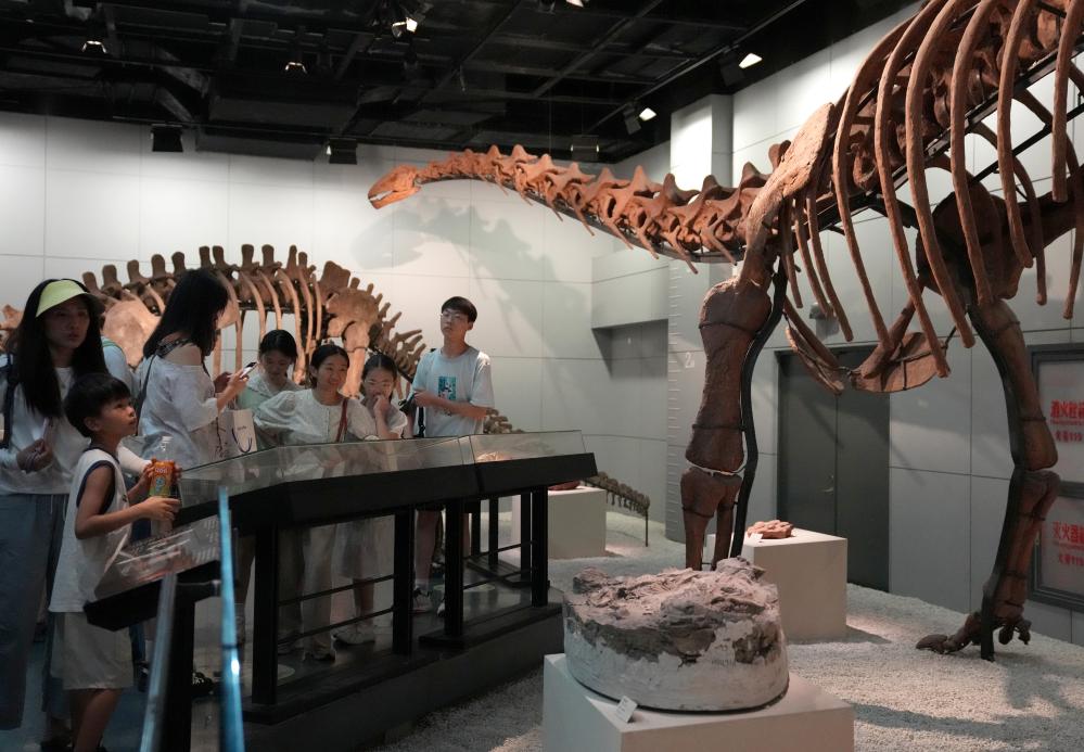 发展之光照亮文明之路——聚焦智库报告《文明发展论——构建以发展为核心的新型文明观》