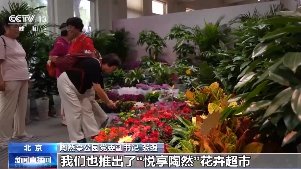 闻桂香、赏菊海、拍“萌宠” 喜迎“双节”繁花满京城