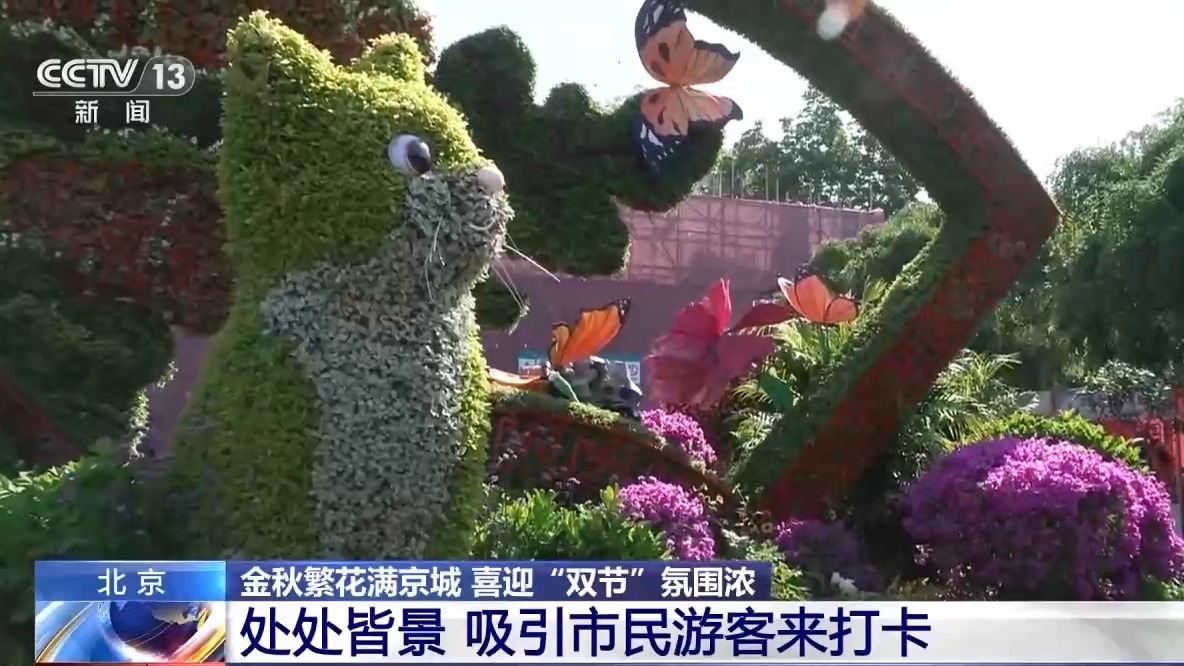闻桂香、赏菊海、拍“萌宠” 喜迎“双节”繁花满京城