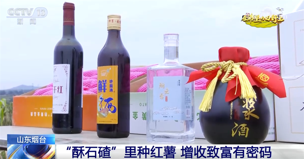 广袤乡村绘就金秋九月好“丰”景 农业现代化成为百姓增收致富“密码”