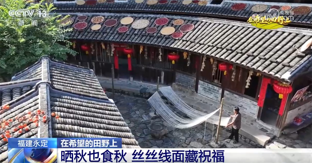 广袤乡村绘就金秋九月好“丰”景 农业现代化成为百姓增收致富“密码”