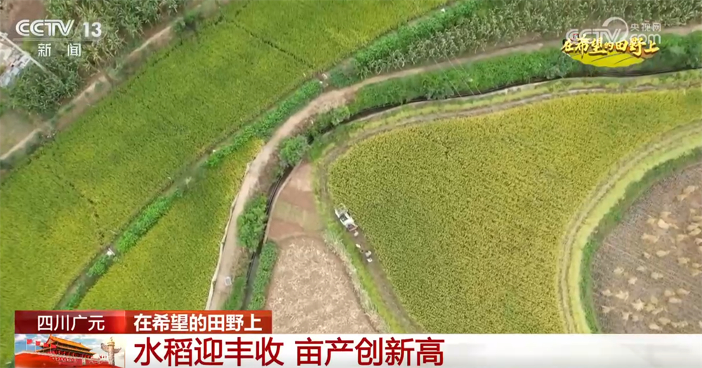 良机良技良法护航秋日“丰”景 “科技+”为乡村产业振兴注入鲜活动能
