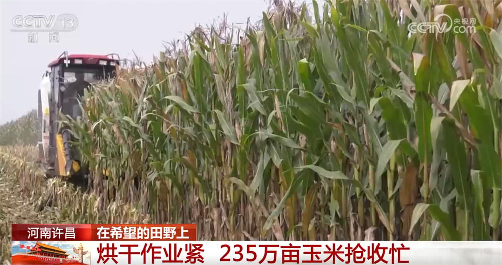 良机良技良法护航秋日“丰”景 “科技+”为乡村产业振兴注入鲜活动能