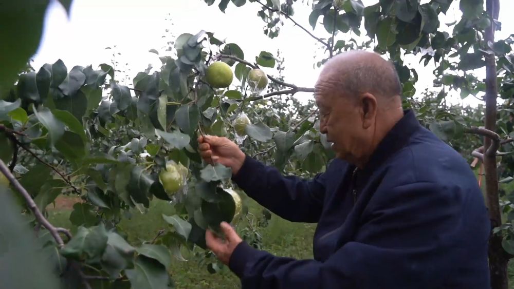 新华视点｜金秋丰收绘新景 乡村振兴谱华章
