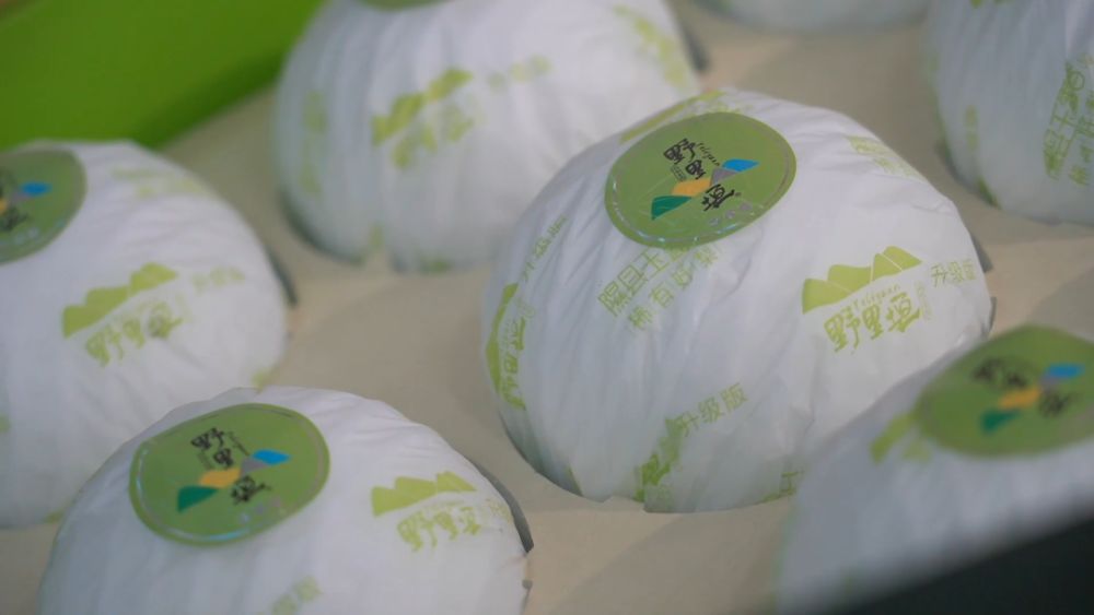 新华视点｜金秋丰收绘新景 乡村振兴谱华章