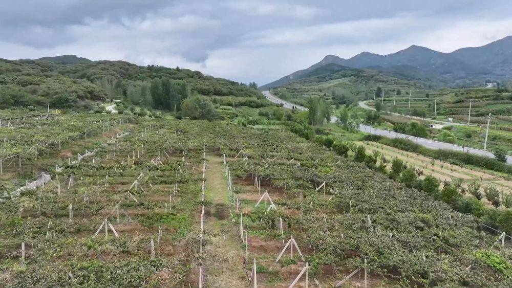 新华视点｜金秋丰收绘新景 乡村振兴谱华章