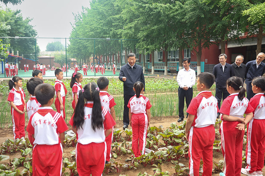 学习进行时｜长成中华民族的参天大树