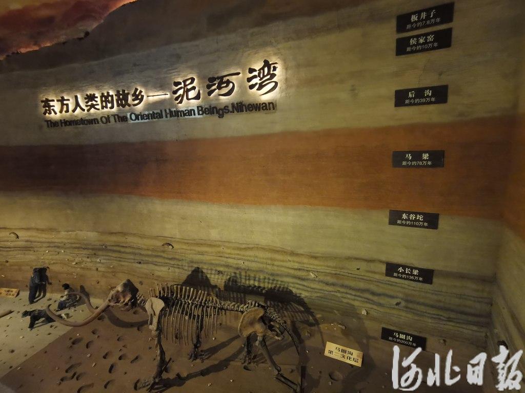 假期不宅家丨博物馆里有什么？这些神奇“宝藏”，等你探秘→