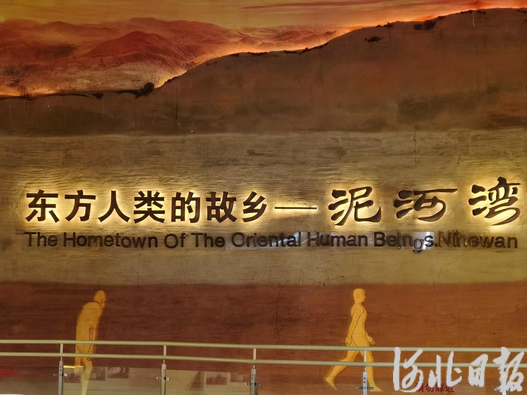 假期不宅家丨博物馆里有什么？这些神奇“宝藏”，等你探秘→