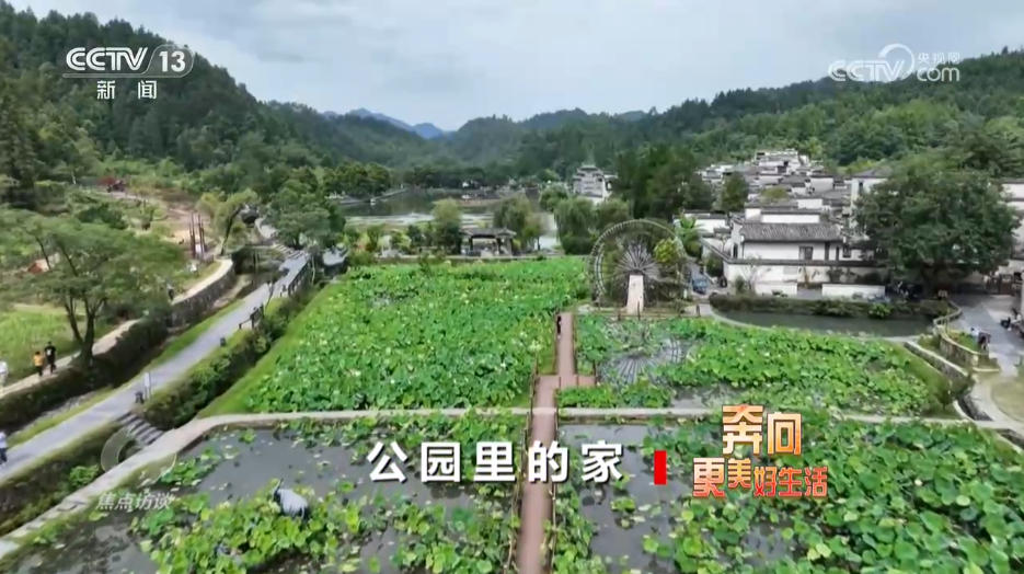 焦点访谈｜美丽中国就在你我身边 “公园+”模式让城市空间更有活力