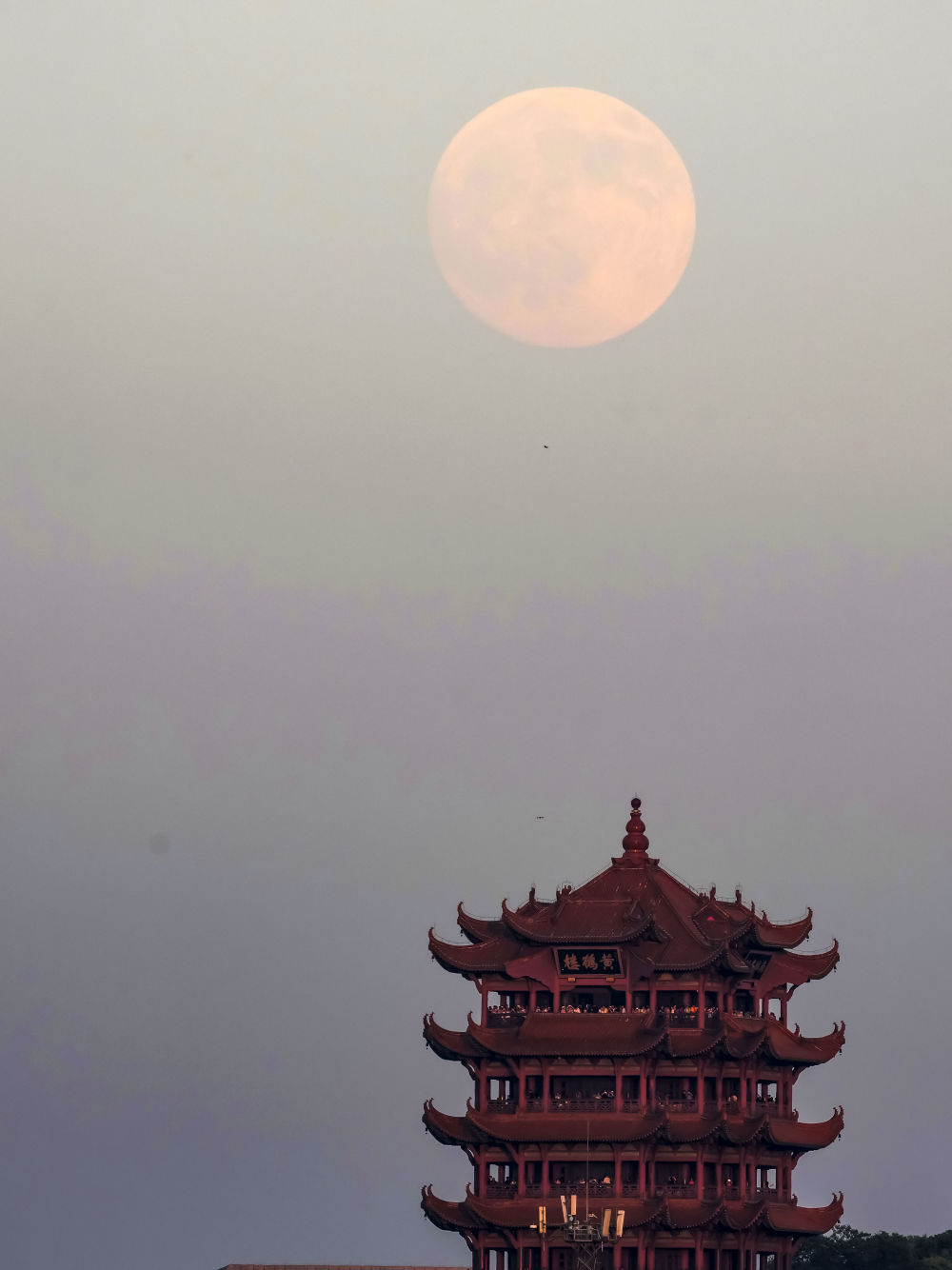 新华社出图｜明月共此时