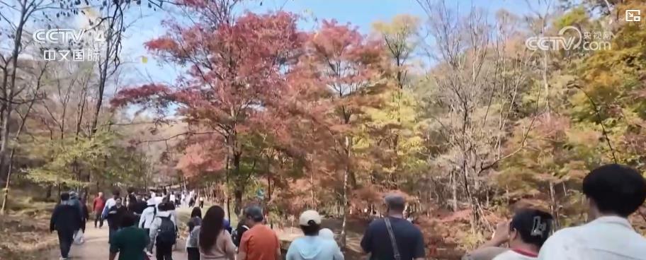 人气旺、活力足！双节假期文旅消费热潮涌动 假日经济持续升温