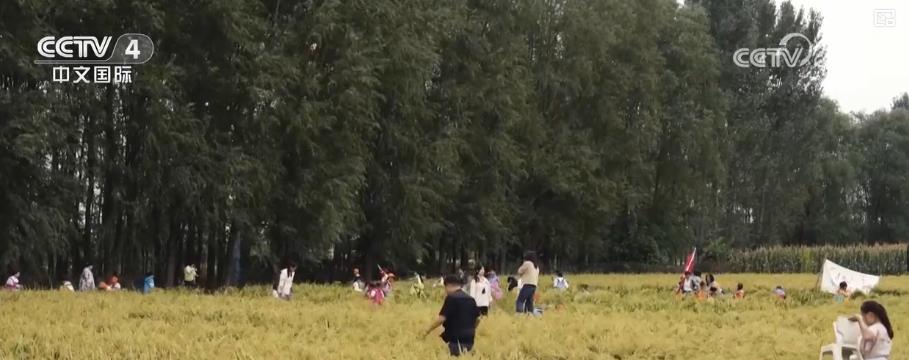 人气旺、活力足！双节假期文旅消费热潮涌动 假日经济持续升温
