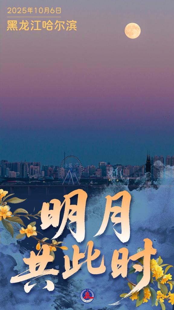 中秋节丨明月共此时
