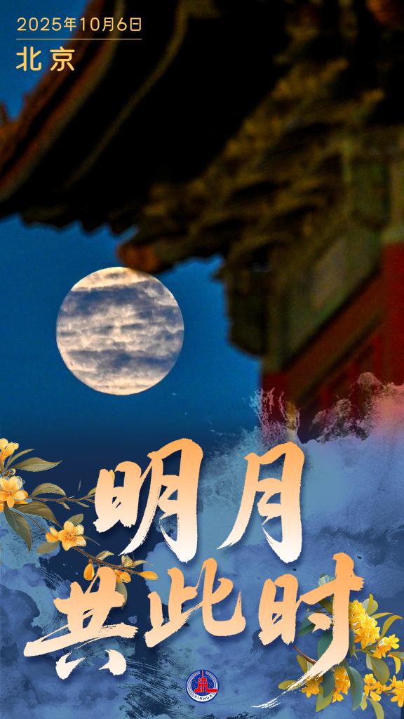 中秋节丨明月共此时