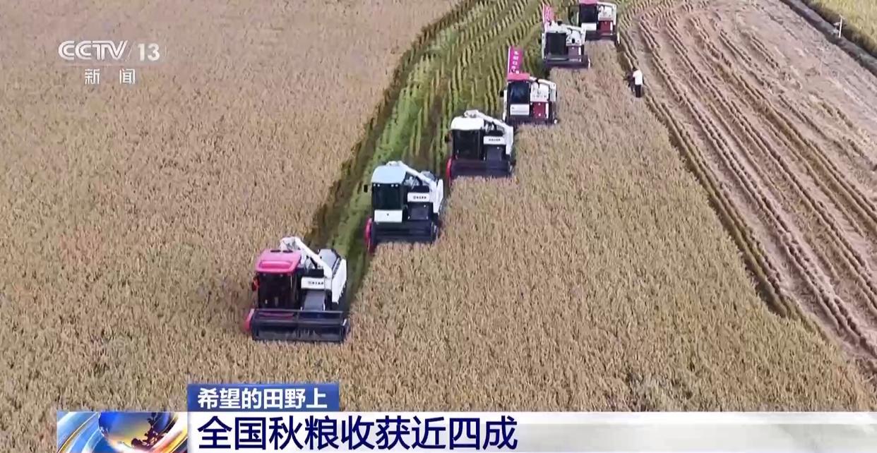 一大批农产品正走向你的餐桌！全国秋粮收获近四成