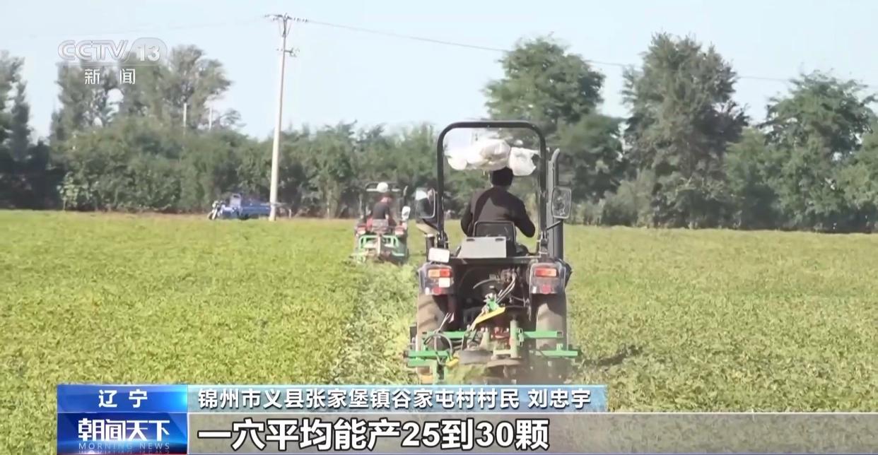 一大批农产品正走向你的餐桌！全国秋粮收获近四成