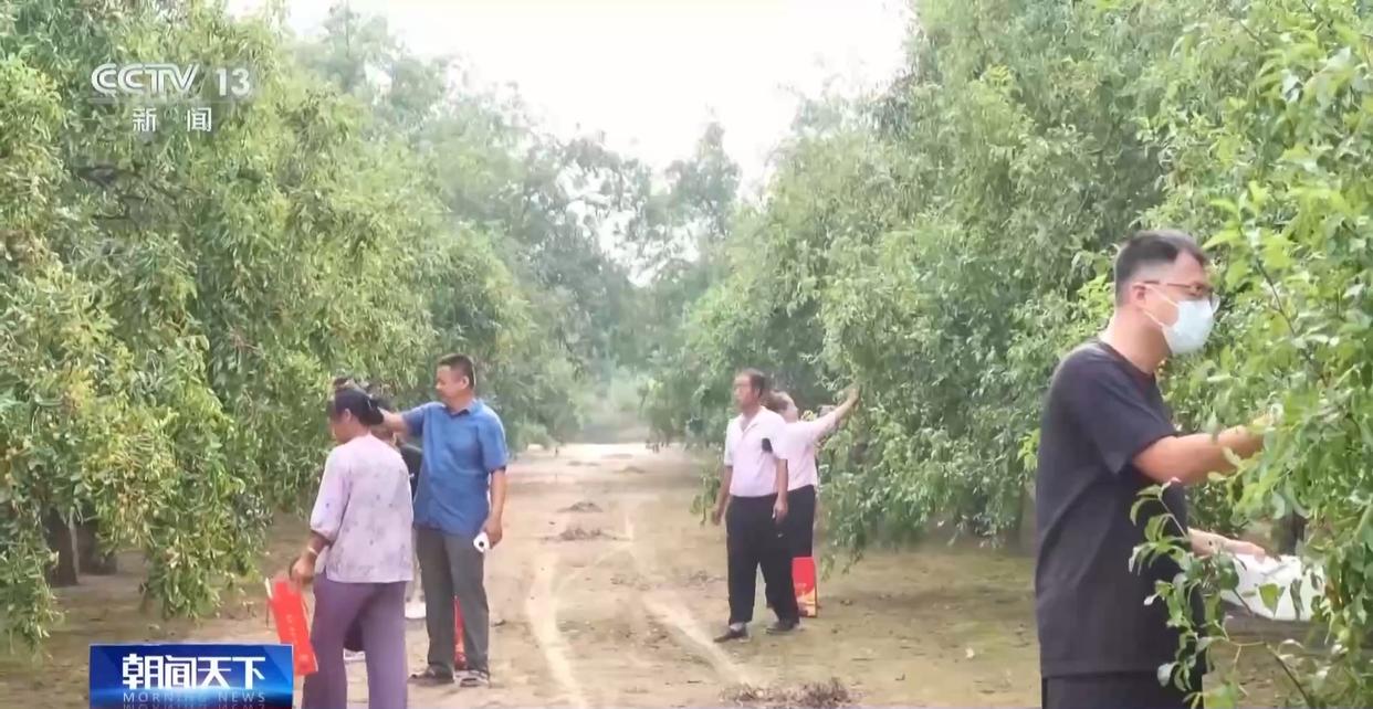 一大批农产品正走向你的餐桌！全国秋粮收获近四成