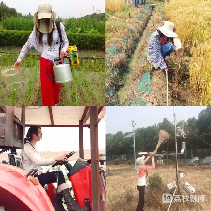 青春华章|江河奔腾·安澜有我：稻田里“非典型女教授”的节水答卷