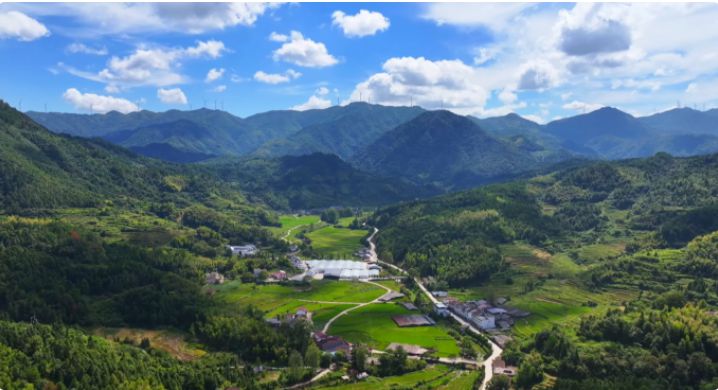 文化导师基层行丨全县排名从90多名跃升至第2名，这个深山村靠什么逆袭？