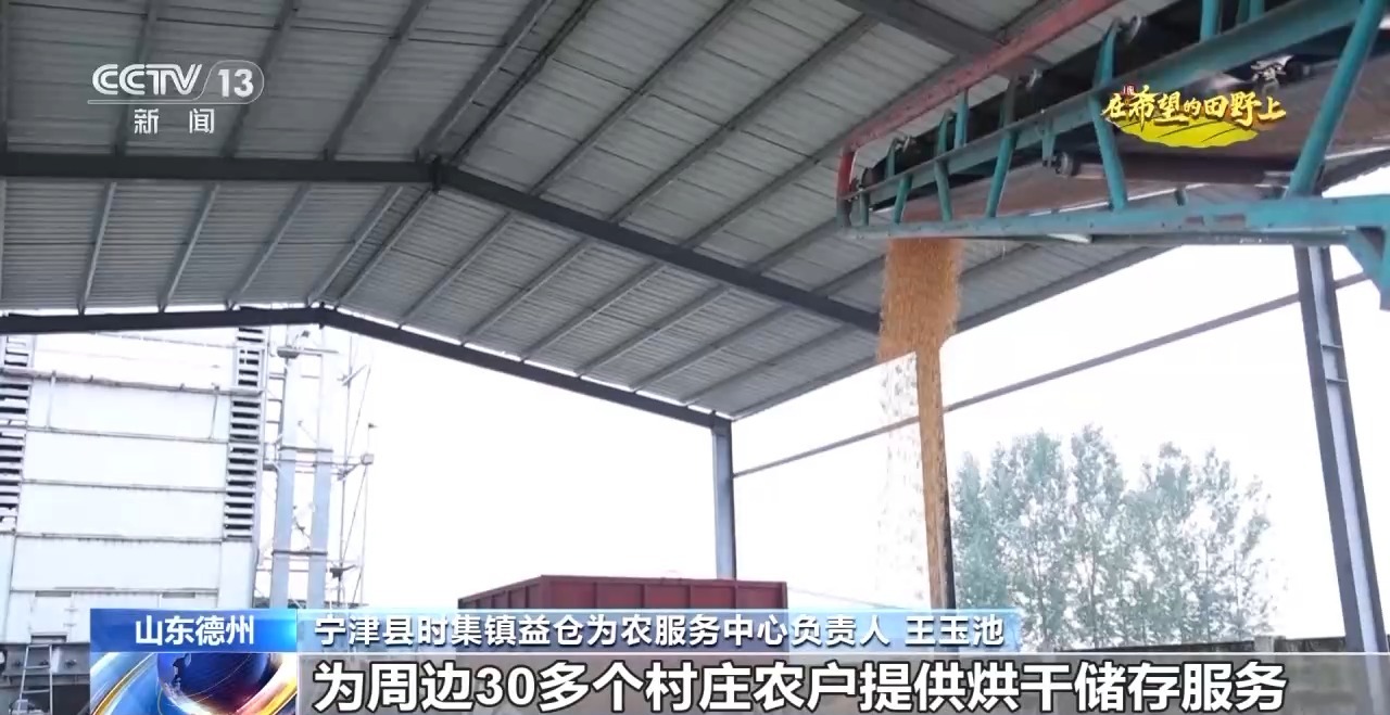秋收时节秋雨绵绵 各地抢收抢烘确保秋粮颗粒归仓