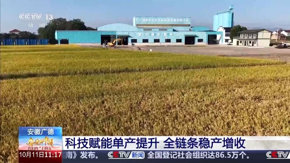 科技赋能单产提升 记者探访“大国粮仓”第一线