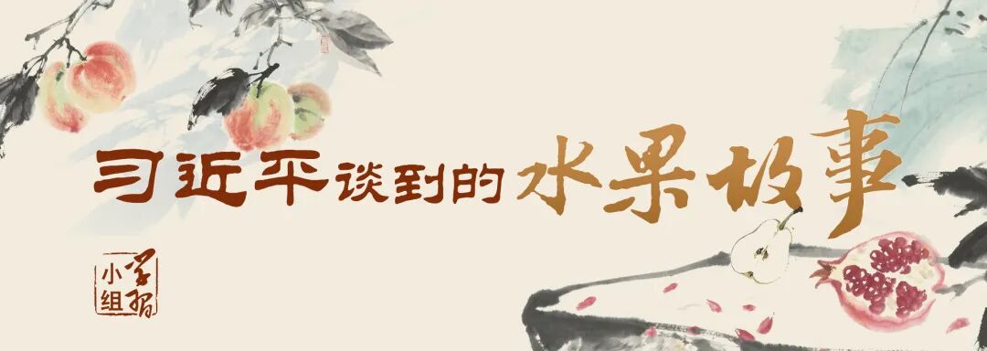 “石榴籽”的比喻