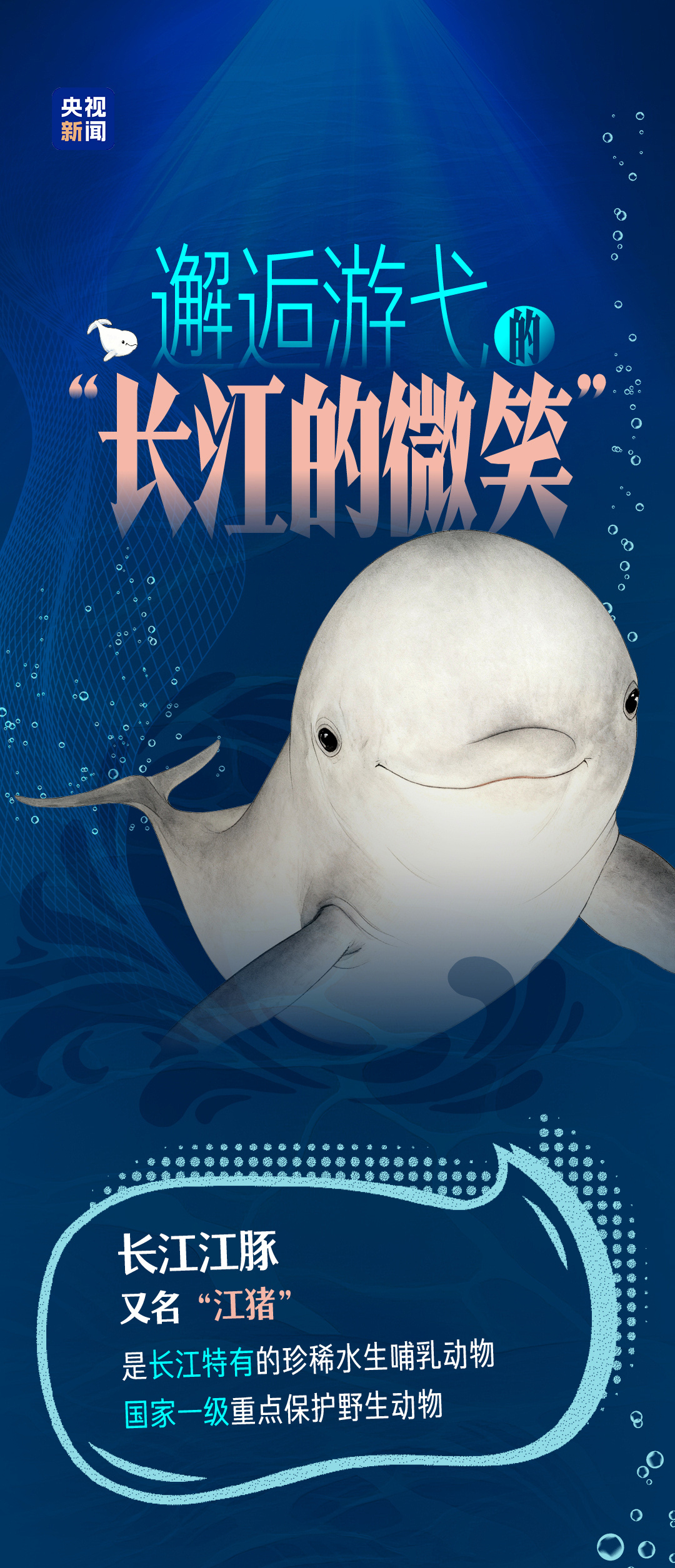 青春华章丨邂逅游弋的“长江的微笑”