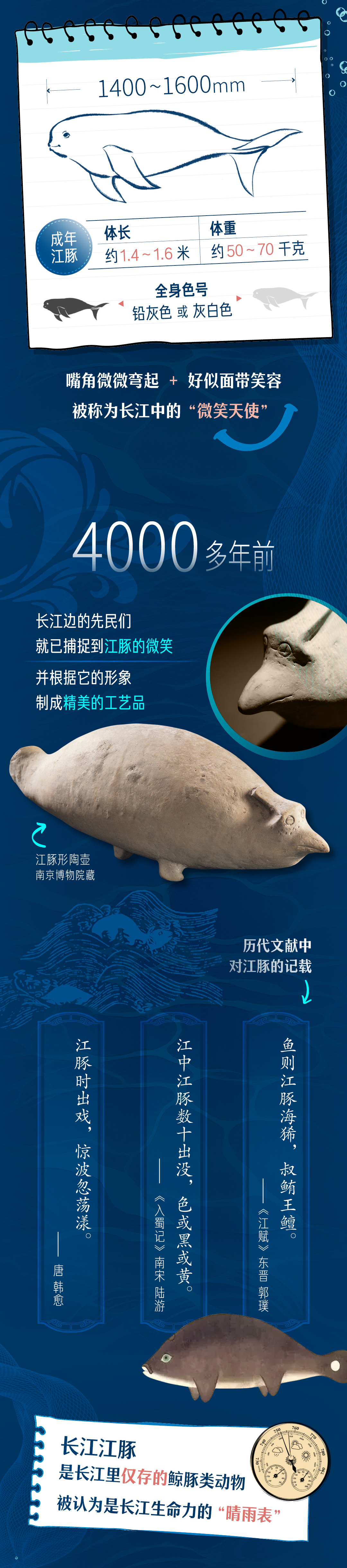 青春华章丨邂逅游弋的“长江的微笑”