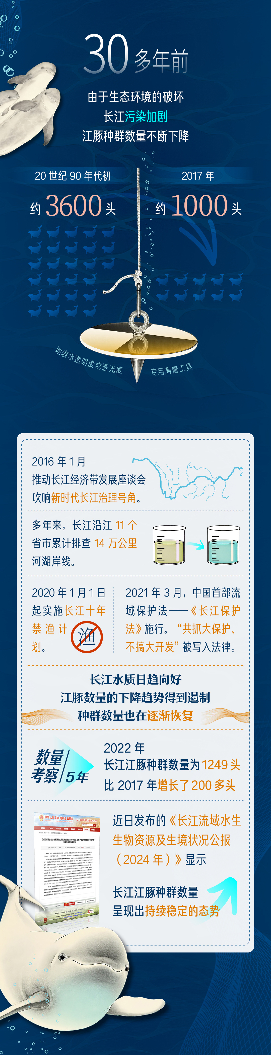青春华章丨邂逅游弋的“长江的微笑”
