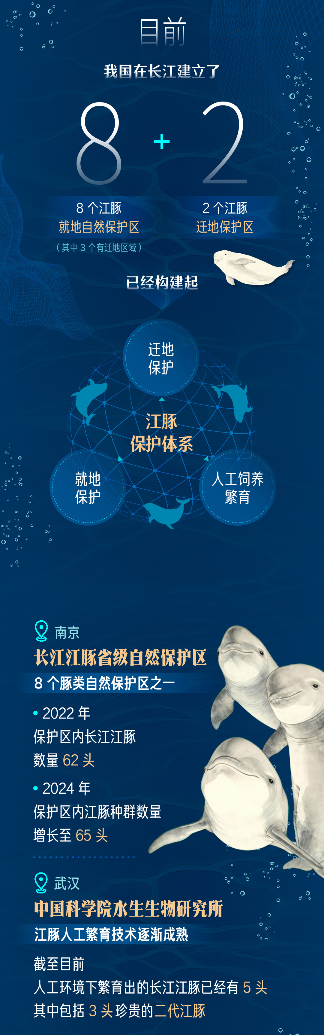 青春华章丨邂逅游弋的“长江的微笑”