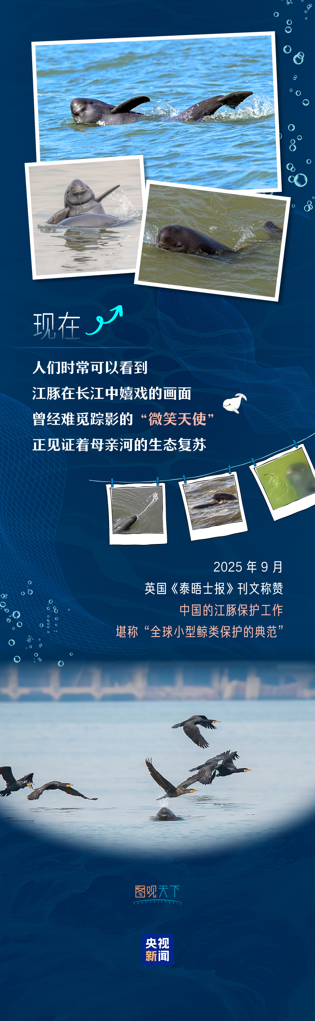 青春华章丨邂逅游弋的“长江的微笑”