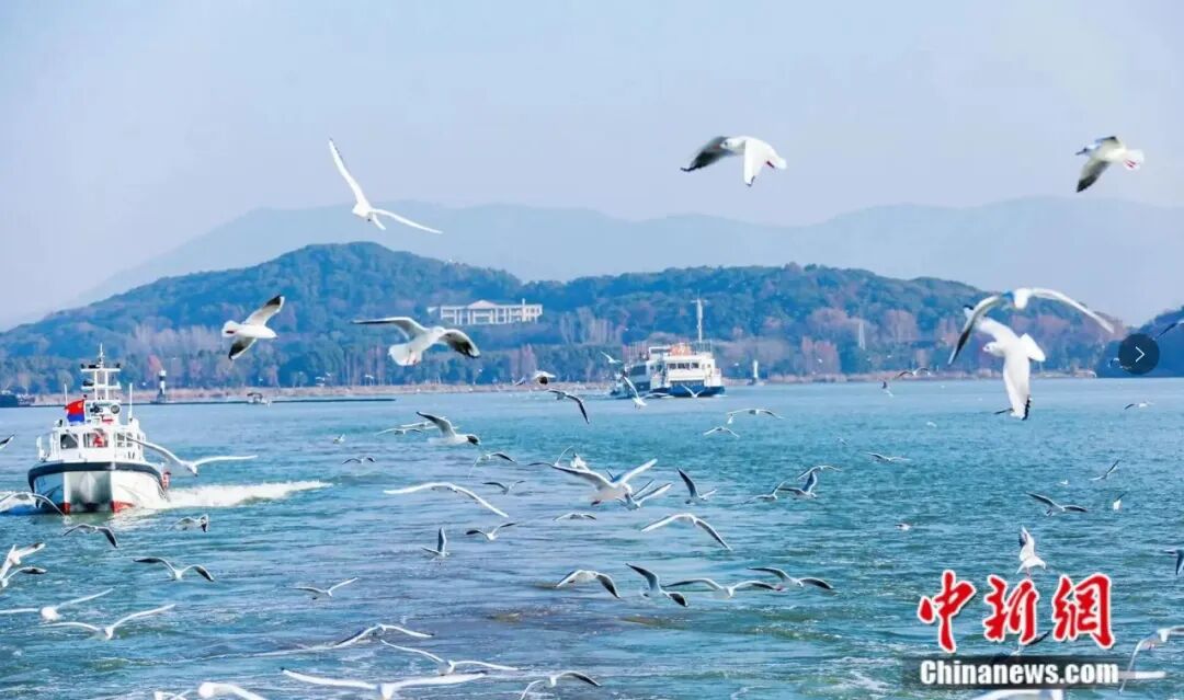 青春华章丨人这一辈子，一定要赴一场江苏的江河湖海之约！